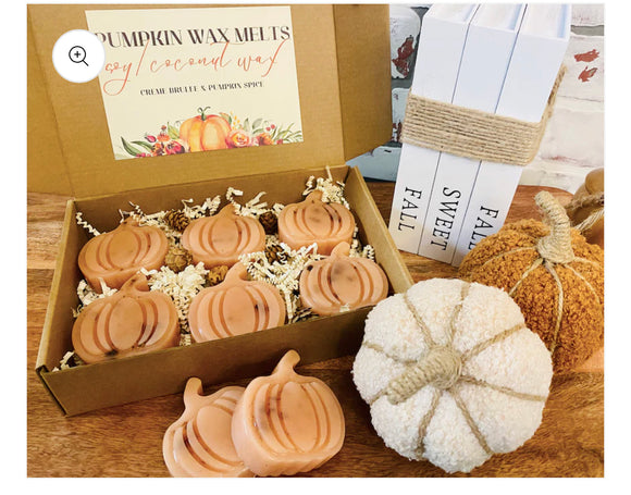 ￼ Pumpkin wax melts