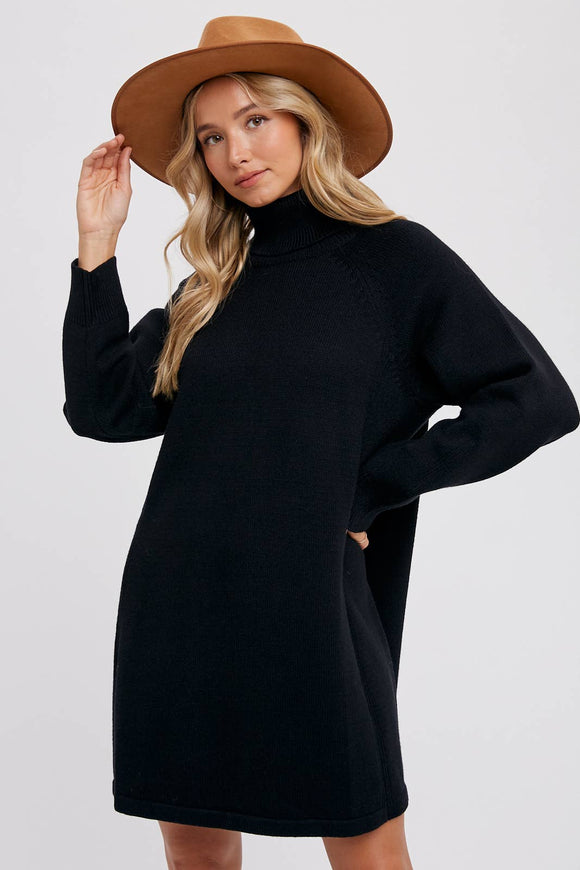 TURTLENECK SWEATER DRESS