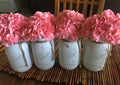 Rent- Party ball jars