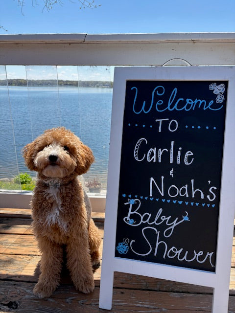 Rent- Chalkboard sign