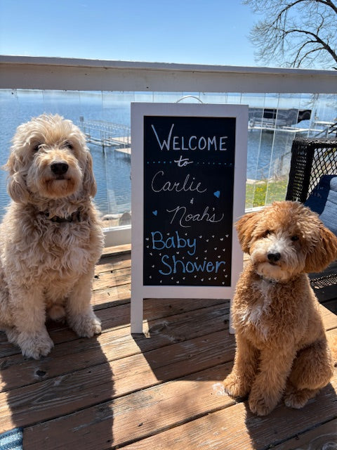 Rent- Chalkboard sign
