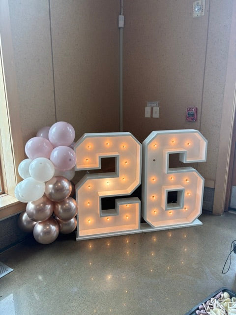Balloon Arch Garland